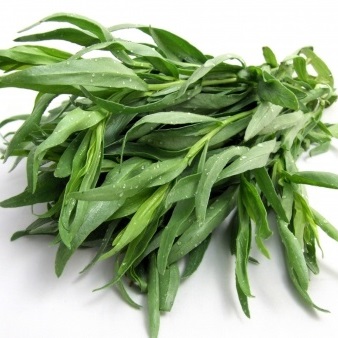 Tarragon oil