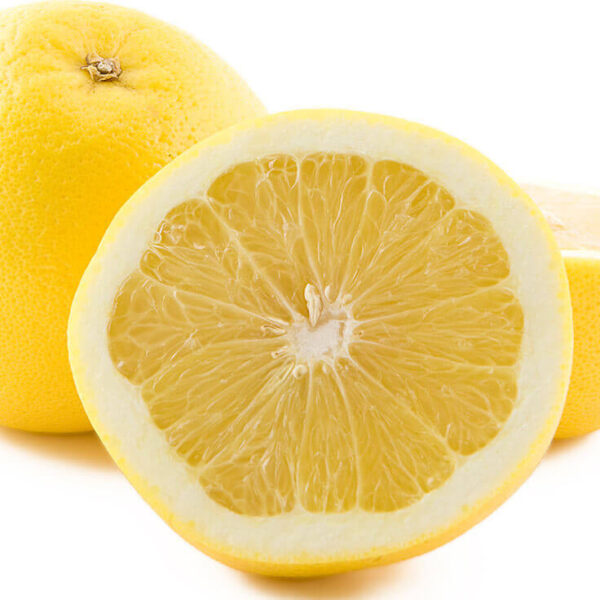 White Grapefruit Essential Oil Suppliers