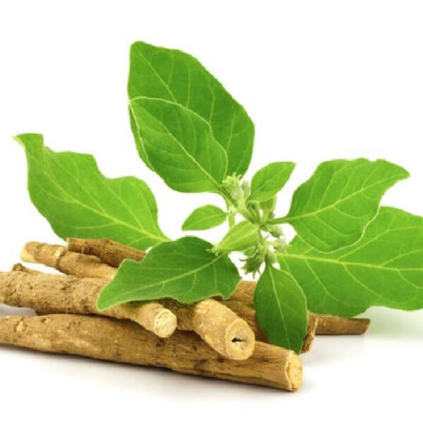 Ashwagandha oil
