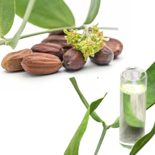 Clear jojoba oil