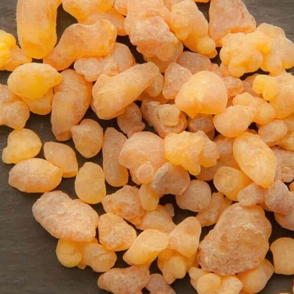 Frankincense frereana oil