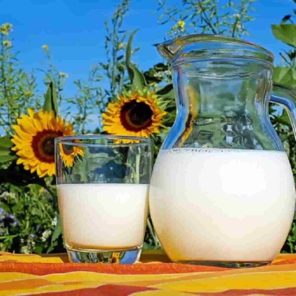 Milky fragrance oil