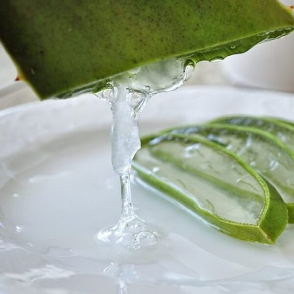 Organic aloe vera gel