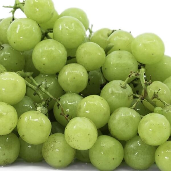 Buy grape seed co2 extract oil