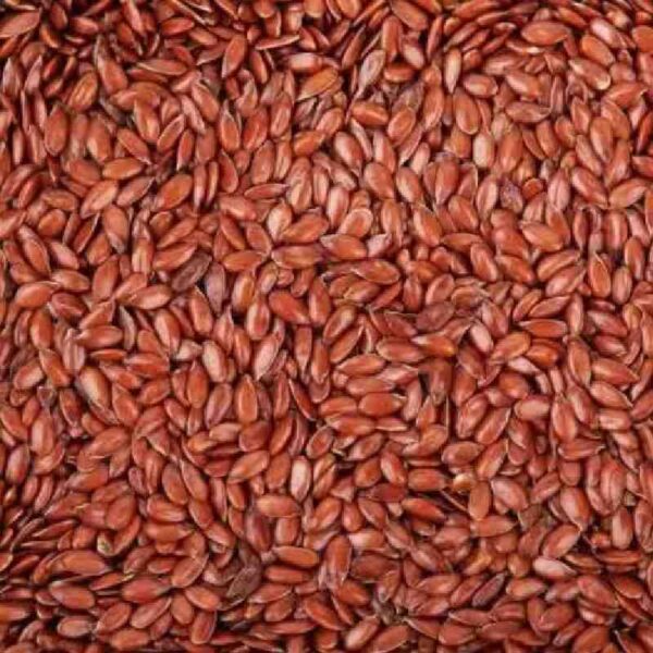 Buy halim seed oil